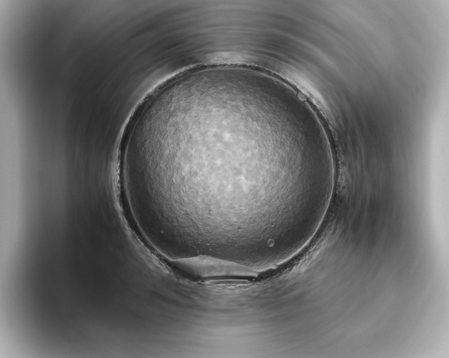 X0000093610992200710151236