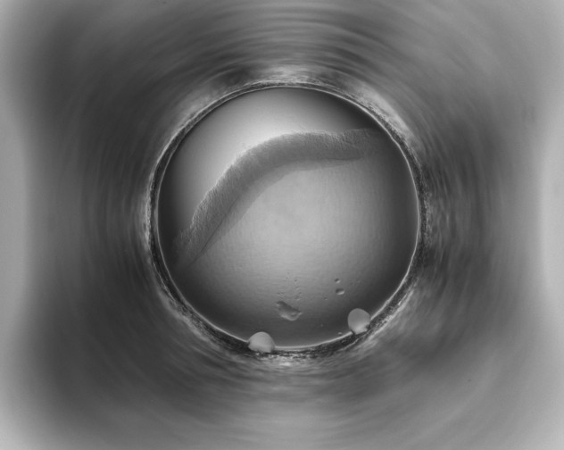 X0000093610994200710151236