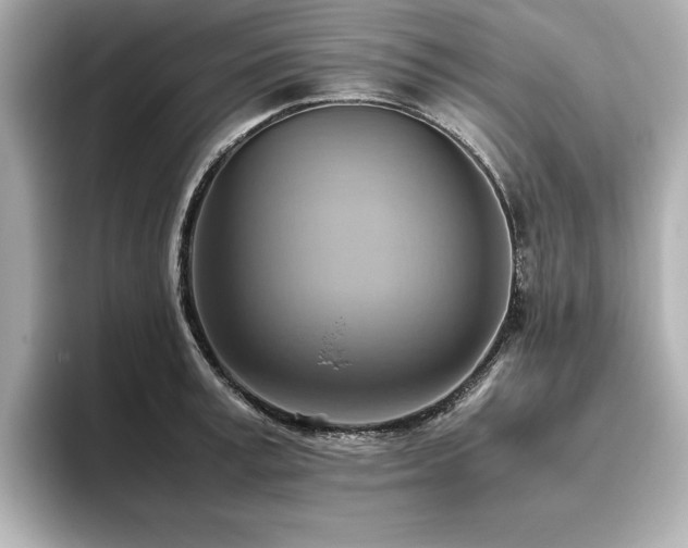 X0000093610995200710151236