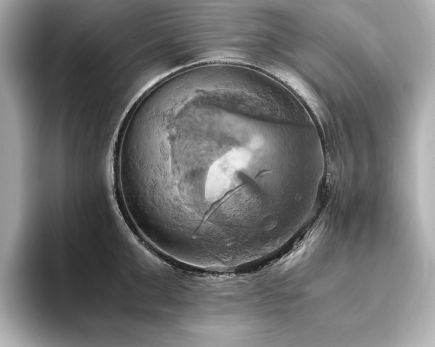 X0000093610999200710151236