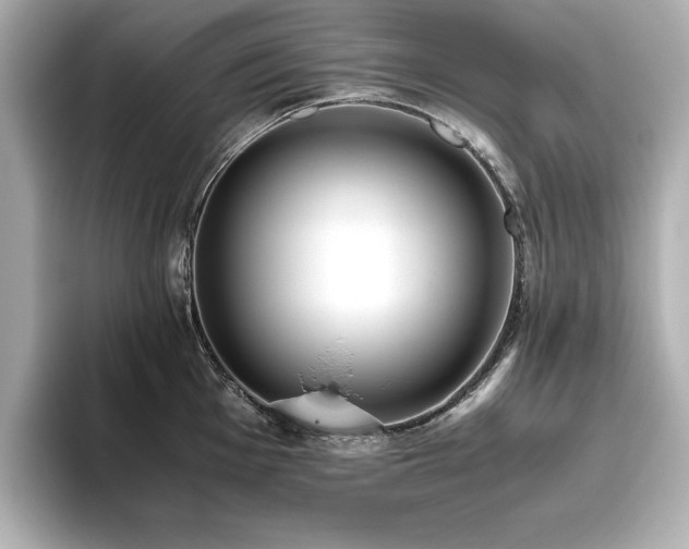 X0000093611001200710151236