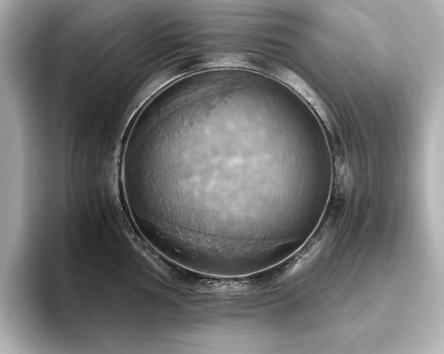 X0000093611002200710151236