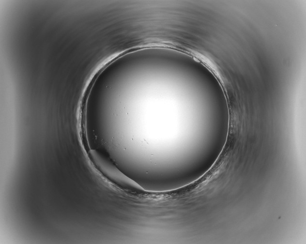 X0000093611003200710151236