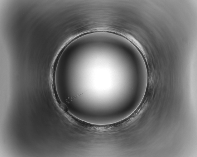 X0000093611005200710151236