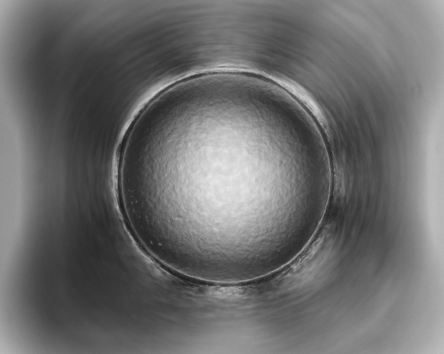 X0000093611006200710151236