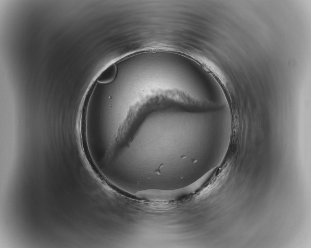 X0000093611007200710151236