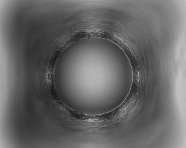 X0000093611010200710151235