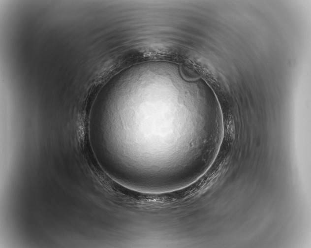 X0000093611012200710151235