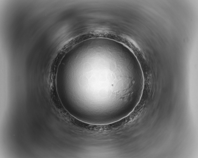X0000093611016200710151235