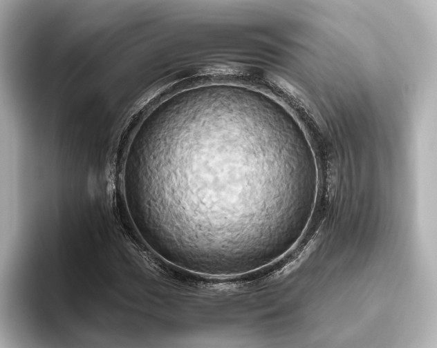 X0000093611017200710151235