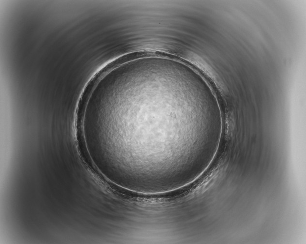 X0000093611020200710151235