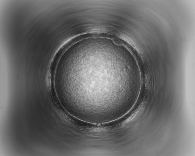 X0000093611021200710151235