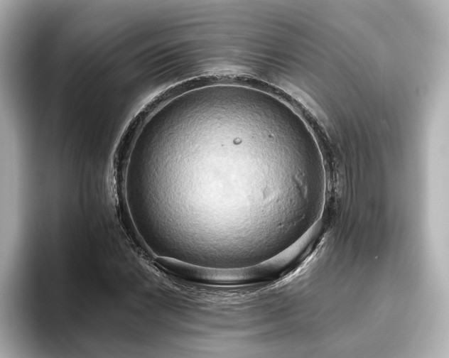 X0000093611022200710151235
