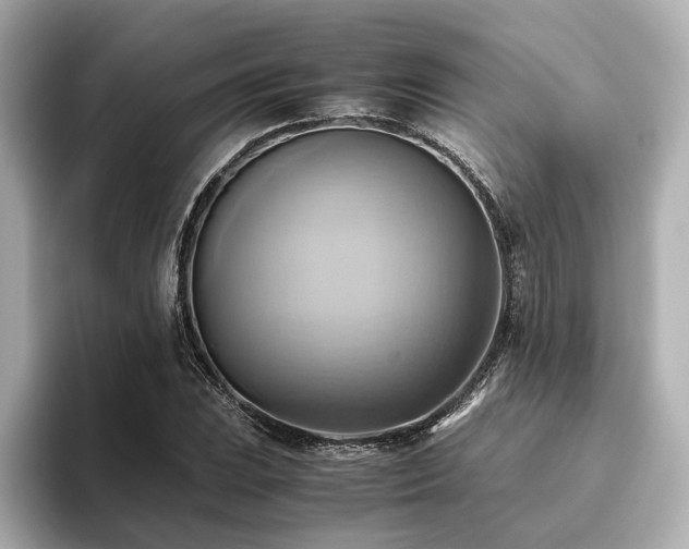 X0000093611023200710151235