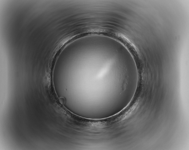 X0000093611025200710151235