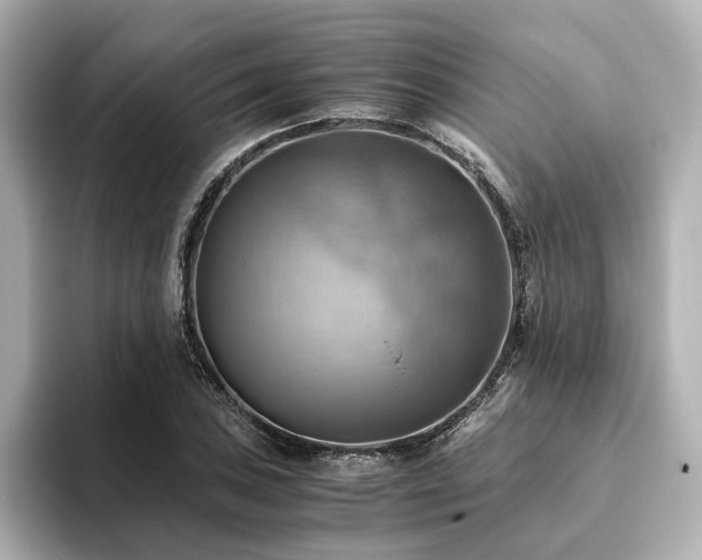 X0000093611027200710151235