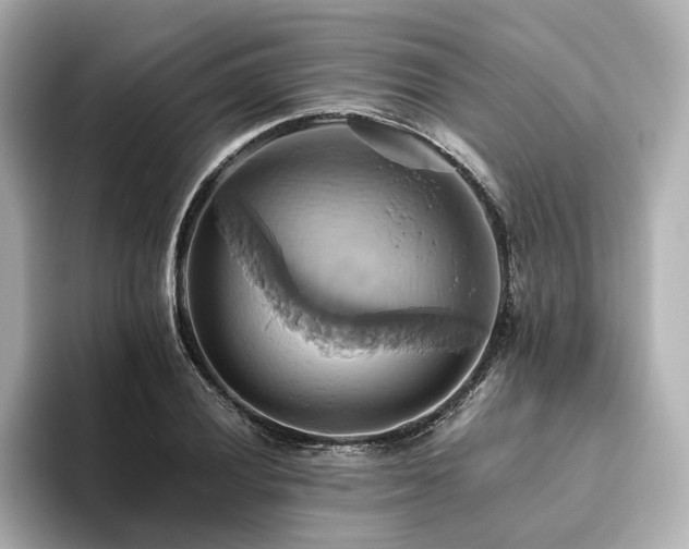 X0000093611028200710151235