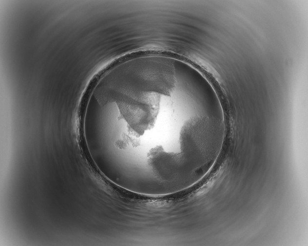 X0000093611029200710151235