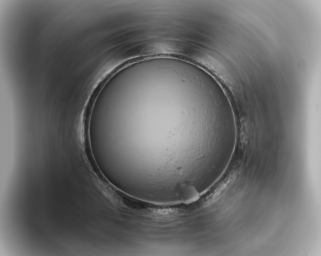 X0000093611031200710151235