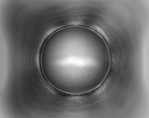 X0000093611035200710151235