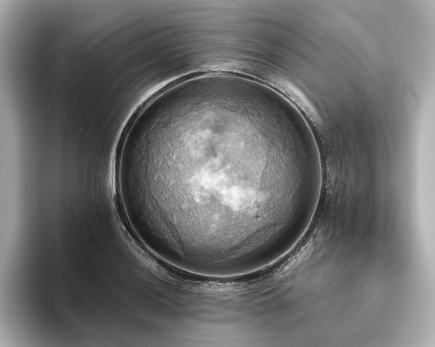 X0000093611036200710151235