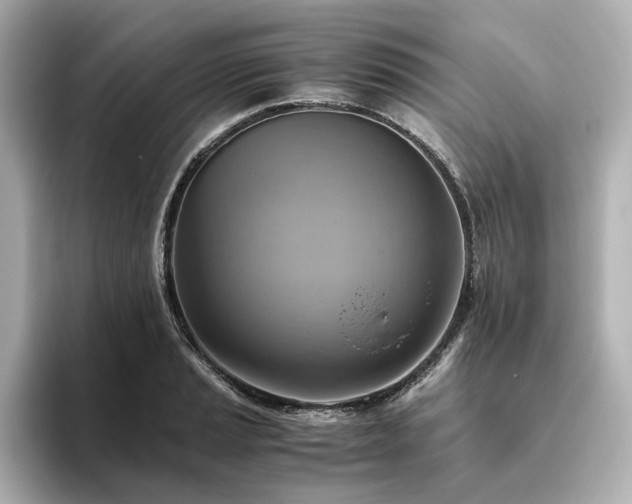 X0000093611037200710151235