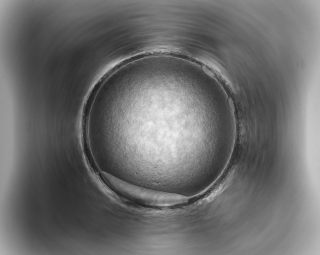 X0000093611038200710151235