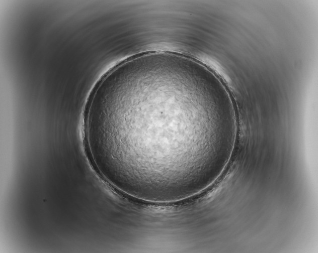 X0000093611040200710151235