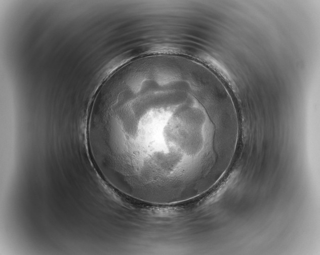X0000093611041200710151235