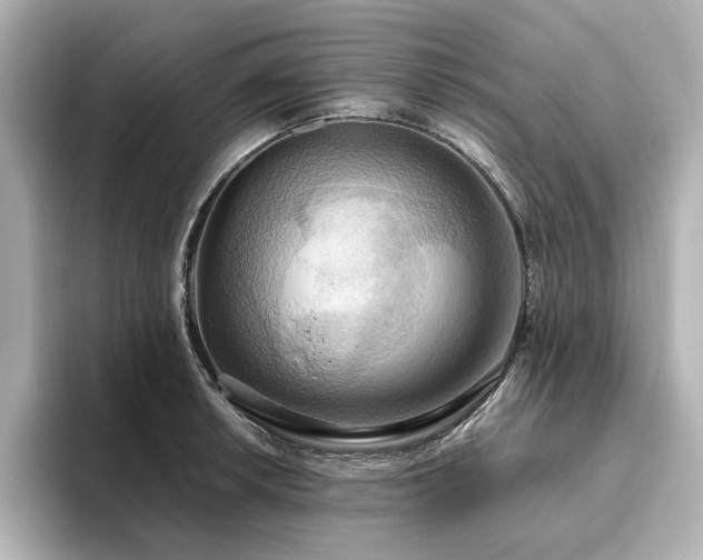 X0000093611042200710151235