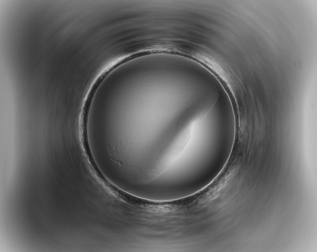 X0000093611045200710151235