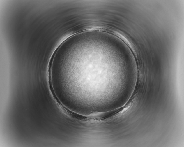 X0000093611050200710151235