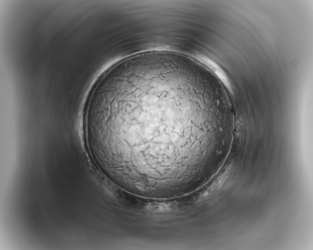 X0000093611051200710151235