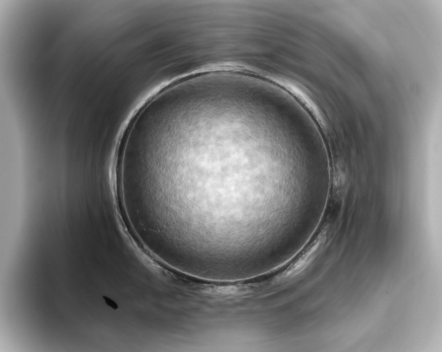 X0000093611054200710151235