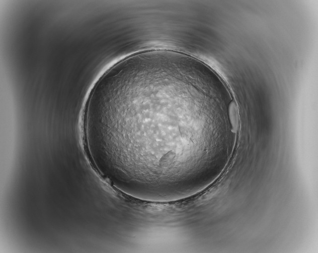 X0000093611056200710151236