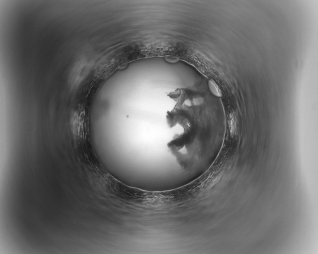 X0000093611059200710151235