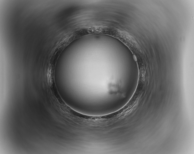 X0000093611060200710151235