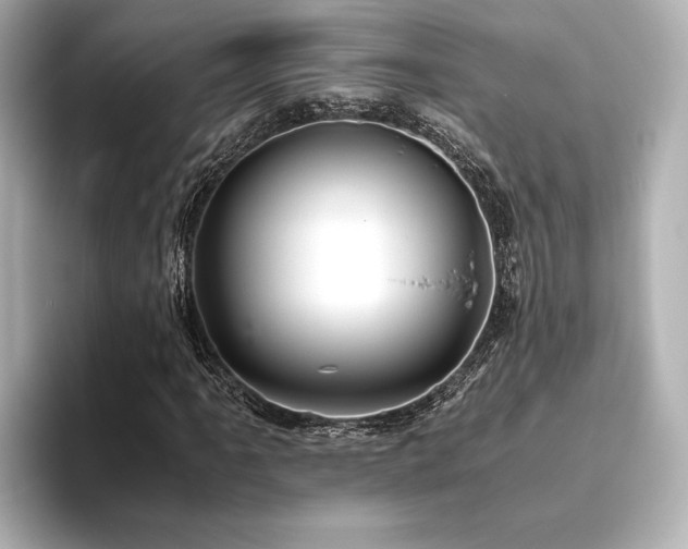X0000093611061200710151235