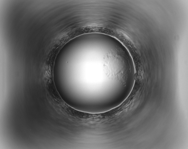 X0000093611062200710151235