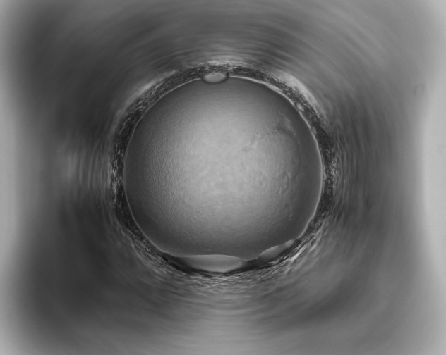 X0000093611064200710151235
