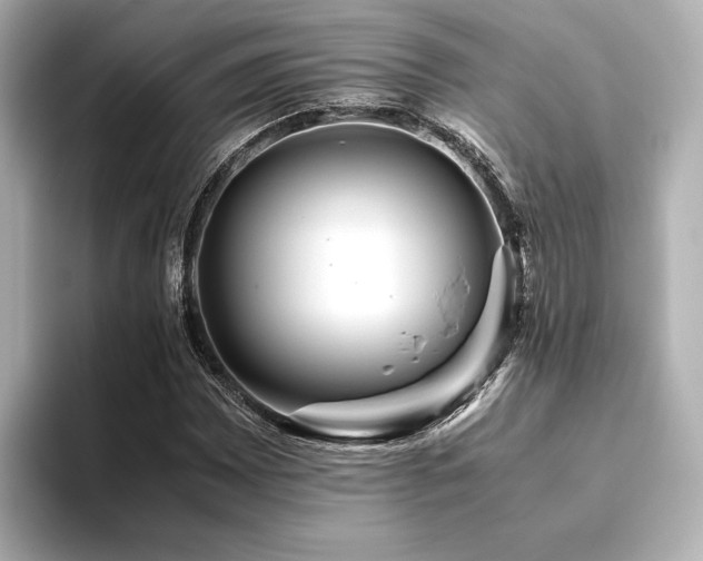 X0000093611065200710151235