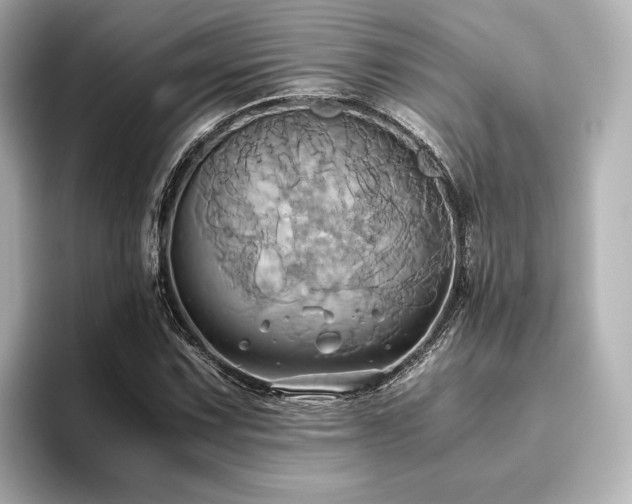 X0000093611067200710151235