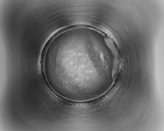 X0000093611068200710151235