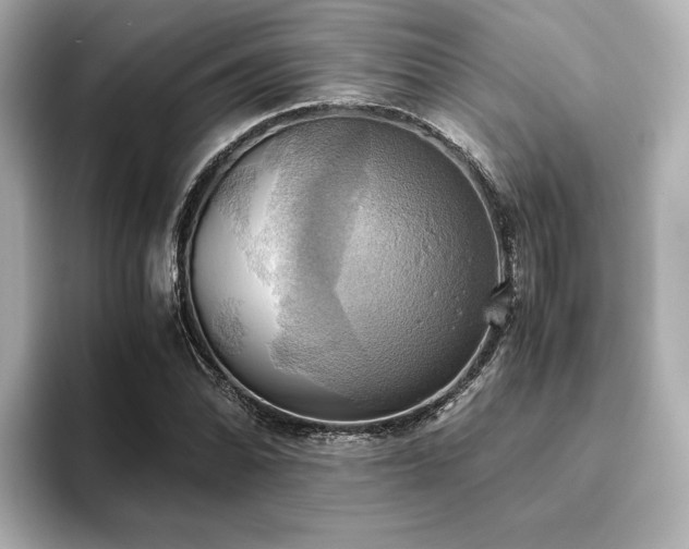 X0000093611070200710151235