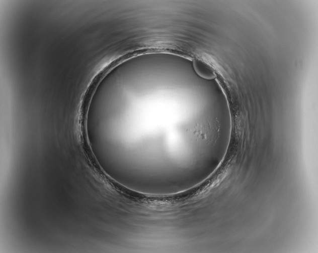X0000093611071200710151235