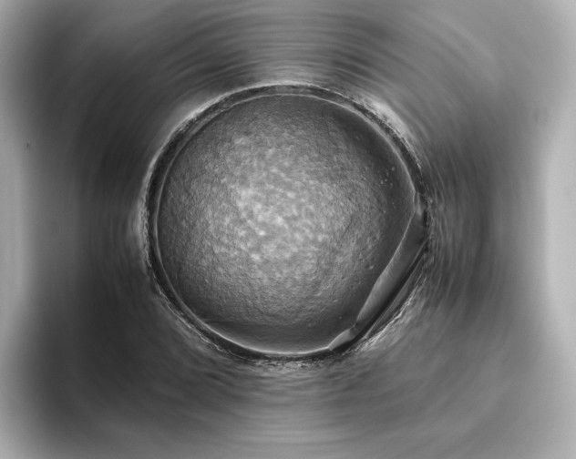 X0000093611072200710151235