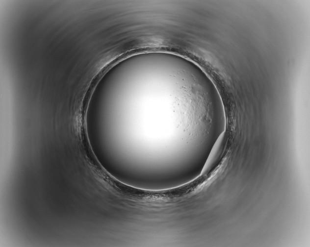 X0000093611073200710151235