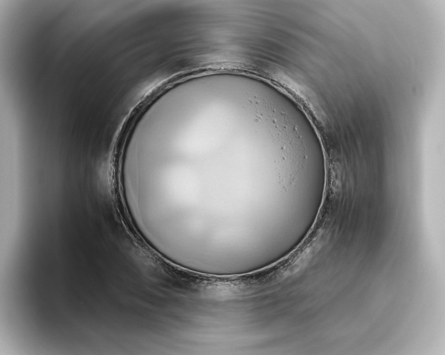X0000093611074200710151235
