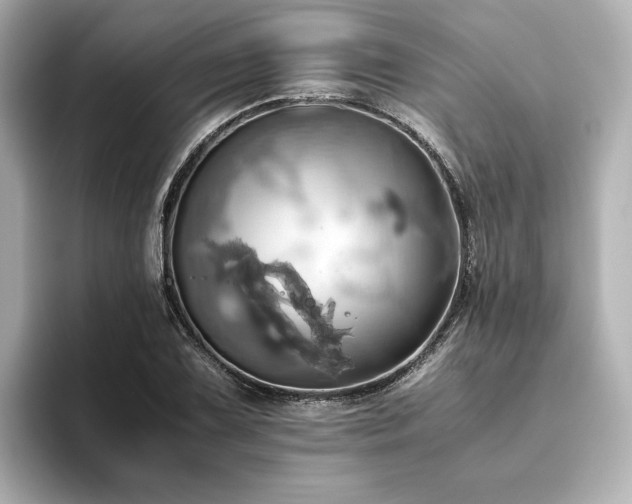 X0000093611075200710151235