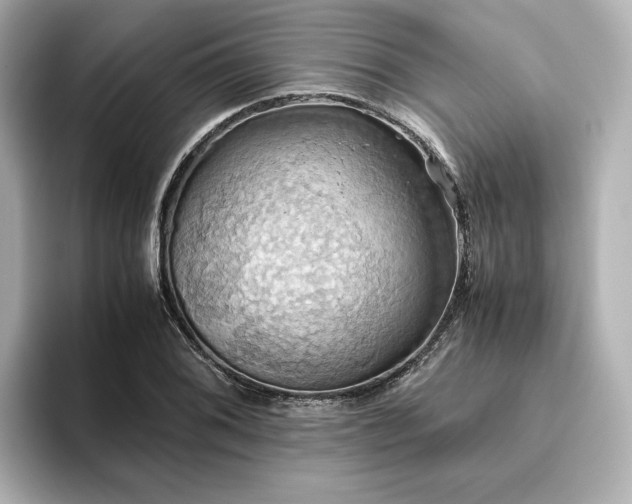 X0000093611076200710151235